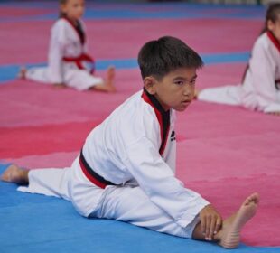 Artsport жабылады деген ақпарат шындыққа жанаспайды - министрлік